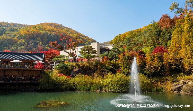 가을 단풍과 연못이 어우러진 화담숲 풍경